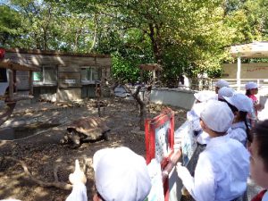 1年校外学習　千葉市動物公園